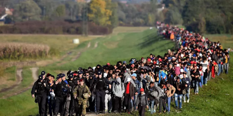 What is Mass Migration For, Why Does it Keep Happening, and Why Will Nobody Stop It?
