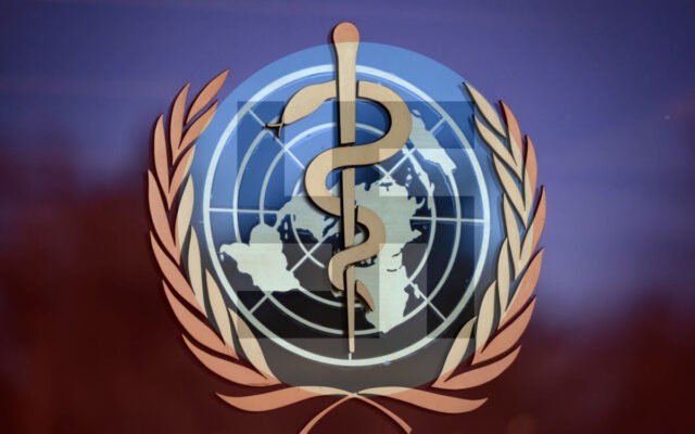 James Roguski Exposes The Tyrannical Power Grab By The World Health Assembly (Video)
