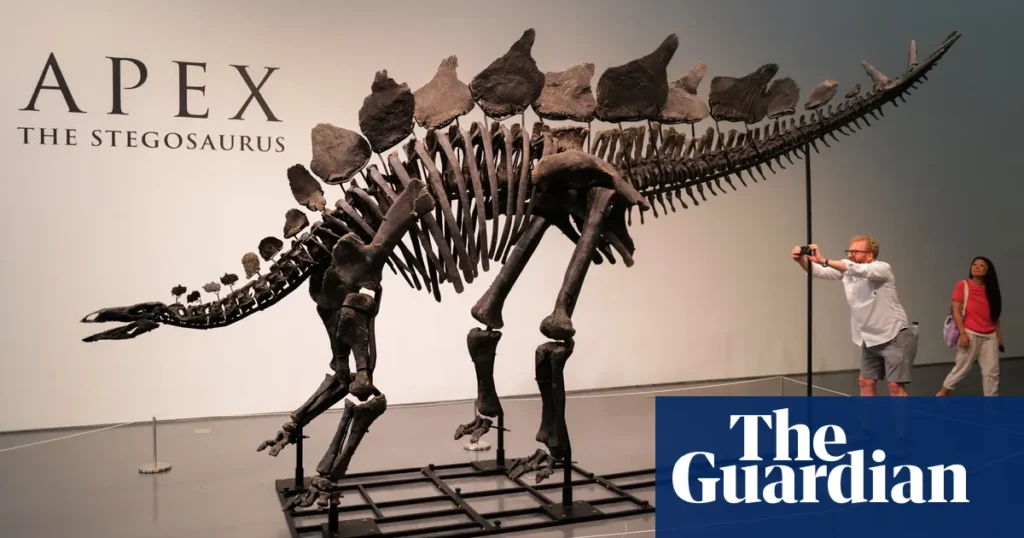 Largest, most intact stegosaurus fossil ever found sells for $44.6m
