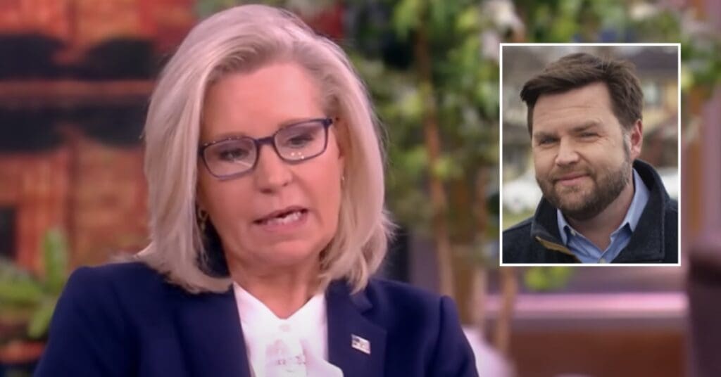 ‘I’m sold!’ Liz Cheney inadvertently endorses JD Vance with dire warning