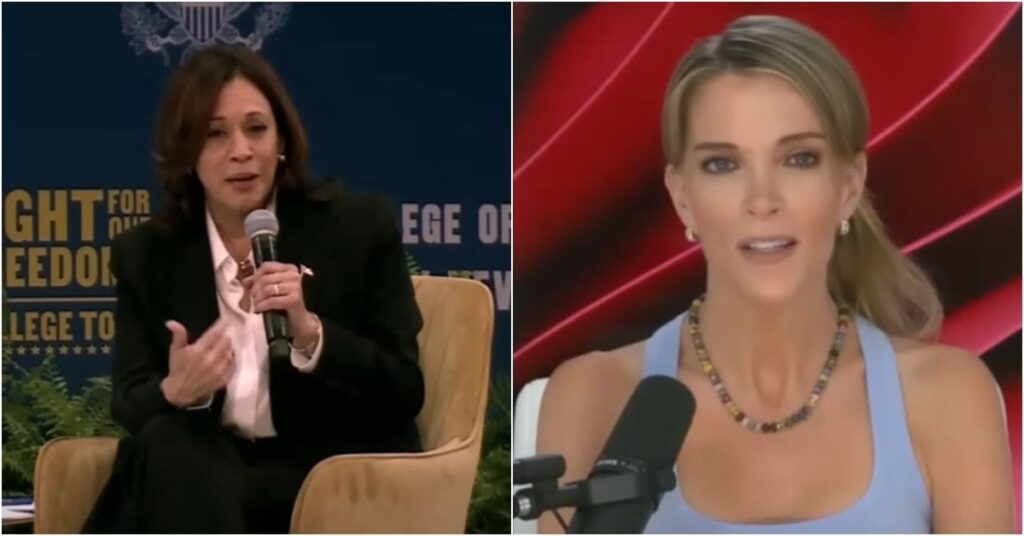Megyn Kelly rejects Kamala Harris sexism claims: ‘She actually did sleep her way upwards’