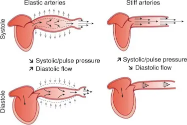 The Great Blood Pressure Scam
