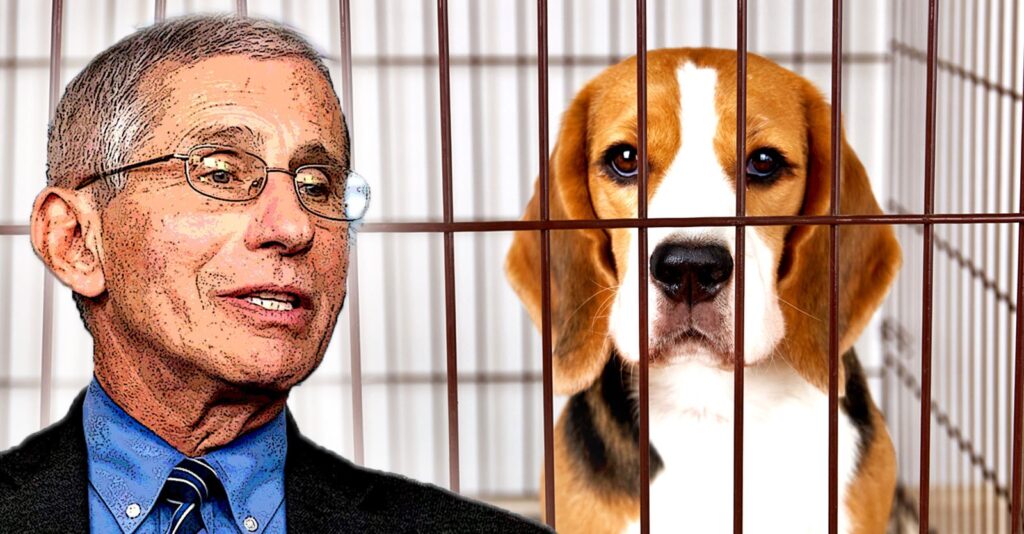 Watch: Fauci Lied to Congress About Personal Email Use During ‘Beaglegate’ Scandal