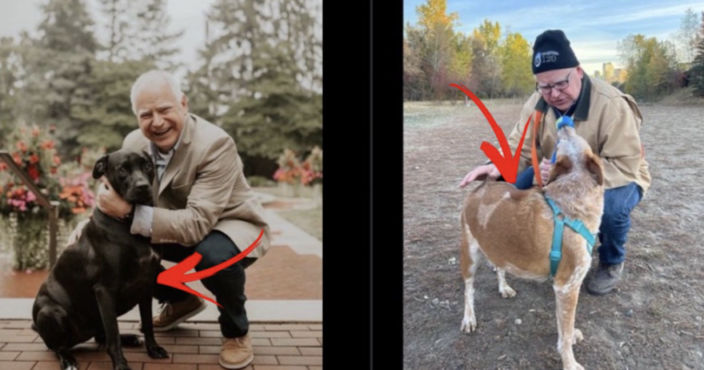 BUSTED: Tim Walz CAUGHT In Another Lie!