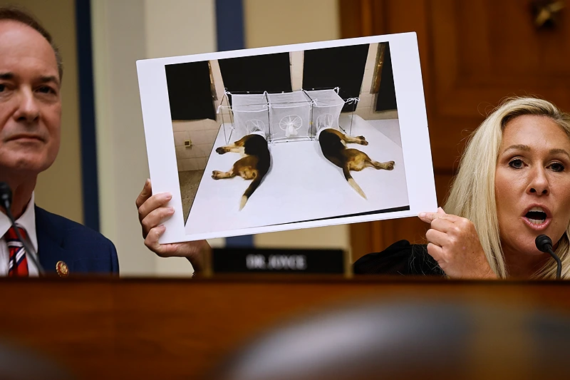 FOIA Docs Suggest Biden Admin Was Aware That Fauci’s NIAID Lied To Cover Up Cruel Beagle Experiments