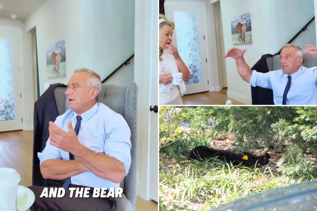 RFK Jr says he dumped dead bear in Central Park after ditching plan to skin it in bizarre video with Roseanne Barr