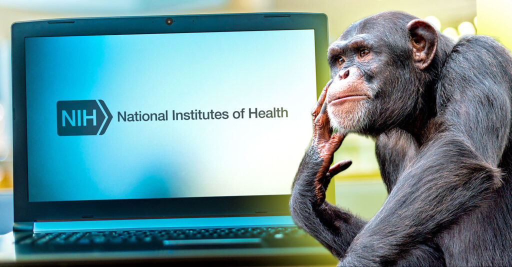 NIH Can’t Remove Negative Comments About Animal Testing From Social Media Pages, Court Rules
