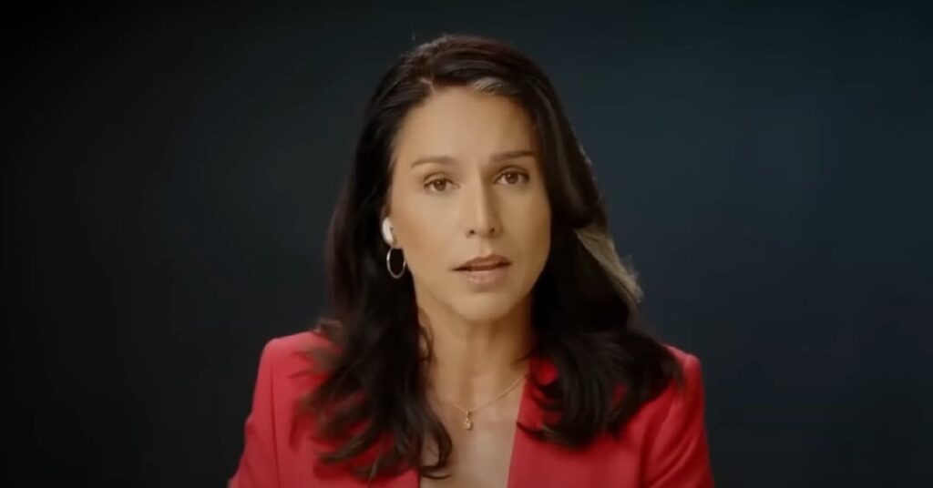 Whistleblowers claim Tulsi Gabbard being surveilled under ‘Quiet Skies’ program