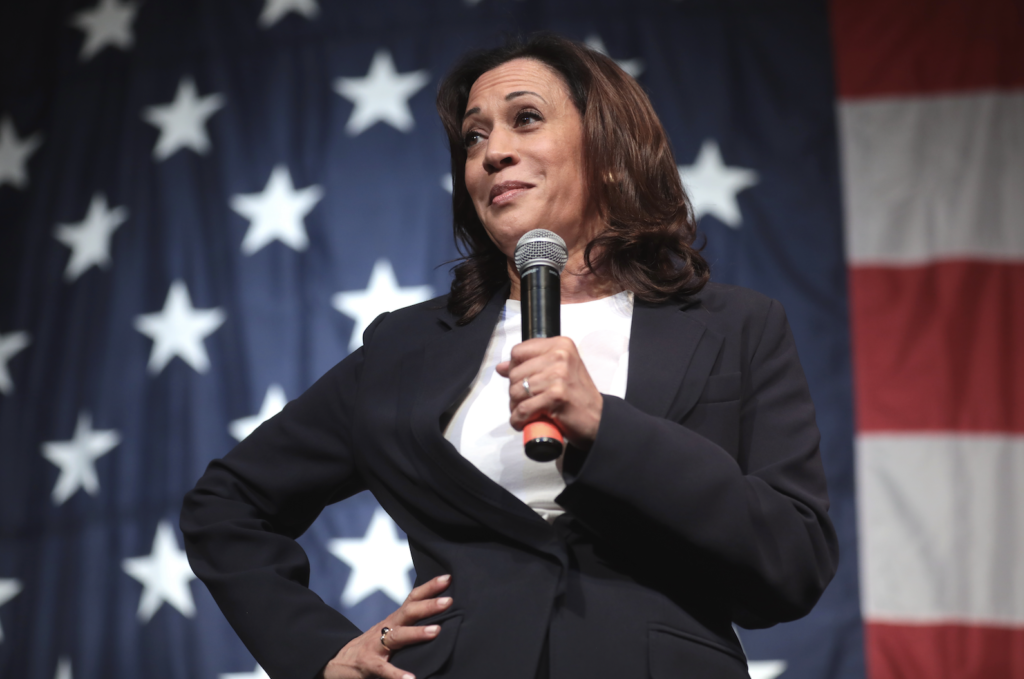 JUST IN: Kamala’s ‘Online Support’ EXPOSED As Fraudulent, Well-Funded