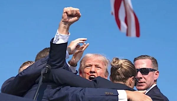 Elon Musk exposes Dems' agenda for violence against President Trump