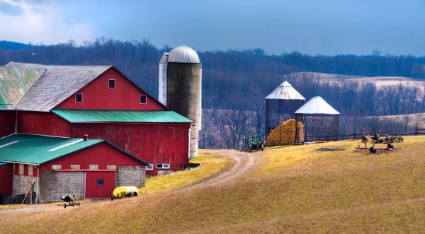 Trump's plans include having China's President Xi follow through on $50 billion farming deal
