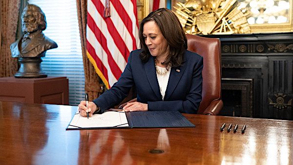 'It's in the works': Kamala Harris will be installed as president BEFORE election, says Kash Patel