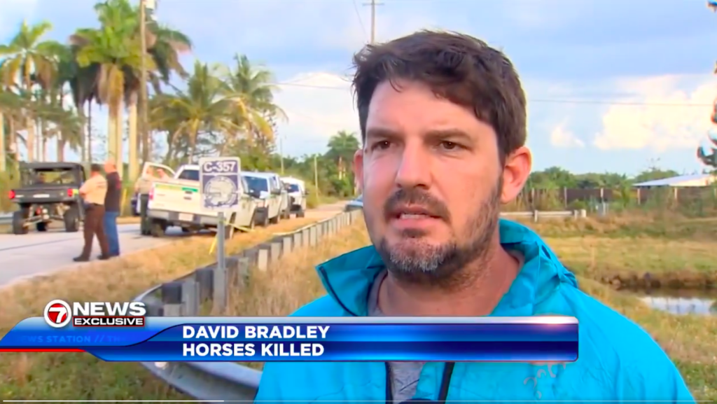 Florida Horse Owner Accuses Illegals of Abducting and Killing His Horses For Meat