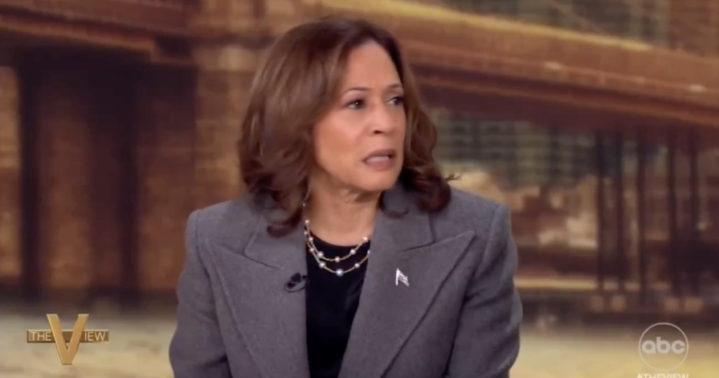 Here’s The Ad President Trump Should Run….The View Made It For Him!