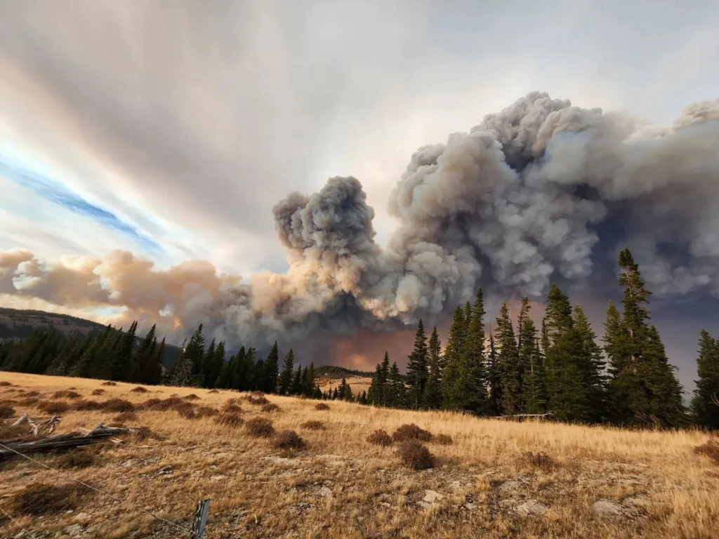 In Wyoming, 1,000 Firefighters Are Fighting 2 Wildfires