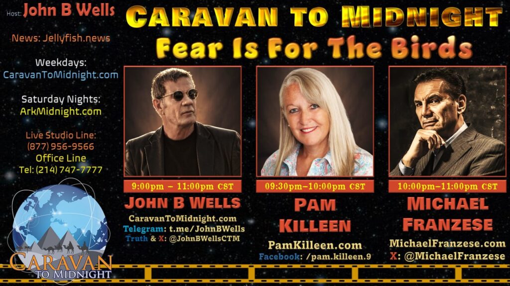19 November 2024: Caravan To Midnight - Fear is for the Birds