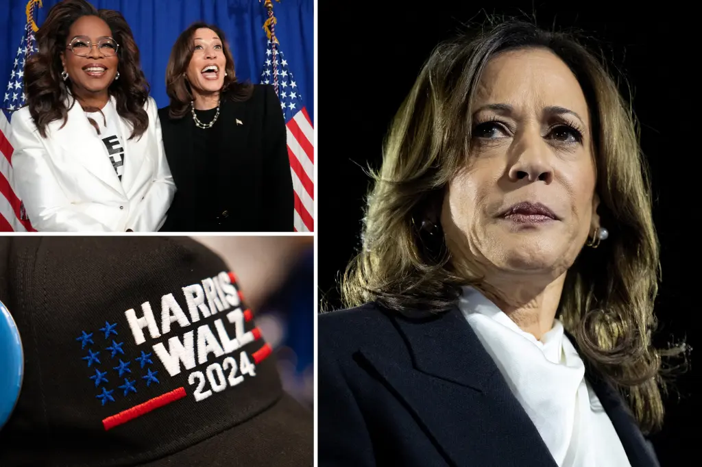 Kamala Harris’ failed $1.5B campaign ‘disqualifies her forever’ from running for president, Dem megadonor cries: ‘Cannot be trusted with the money’