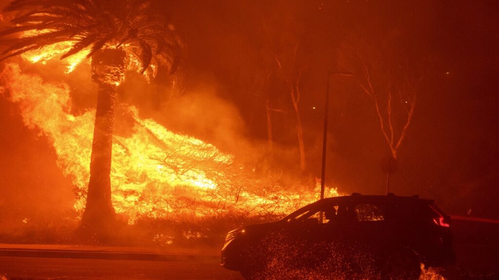 Celebrities and coastal residents flee from wind-driven wildfire in Malibu