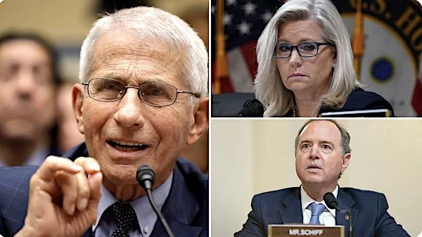 'Just incredible': Biden reportedly considering 'preemptive pardons' for Adam Schiff, Liz Cheney and Dr. Anthony Fauci
