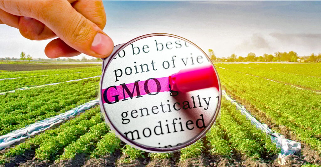 Federal Court Overturns 2020 Decision, Rules GMOs Must Be Regulated