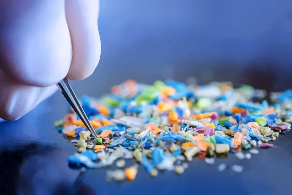 Microplastics Found In Brain Weighs As Much As A Plastic Spoon: Study