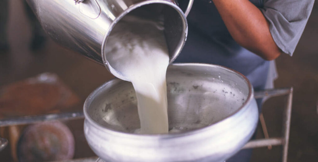 9 Myths of Pasteurization (or Homogenization) + Better Options