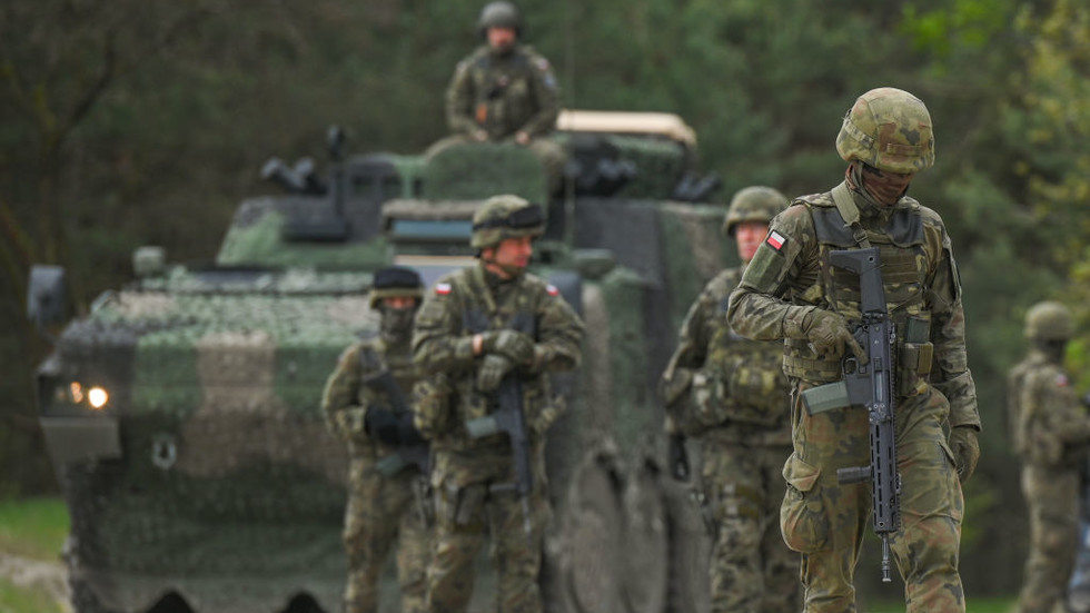 Poland only has ammo for two weeks of war – security chief
