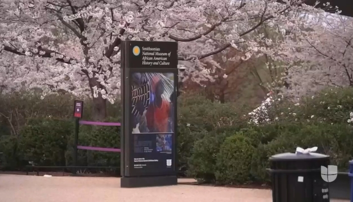 Univision MAD at Trump Executive Order Wanting to Keep Male Exhibits Out of The Women’s Smithsonian