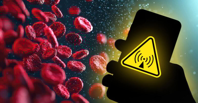 Cellphone Radiation Causes Abnormal Blood Clumping in Just 5 Minutes, Study Finds