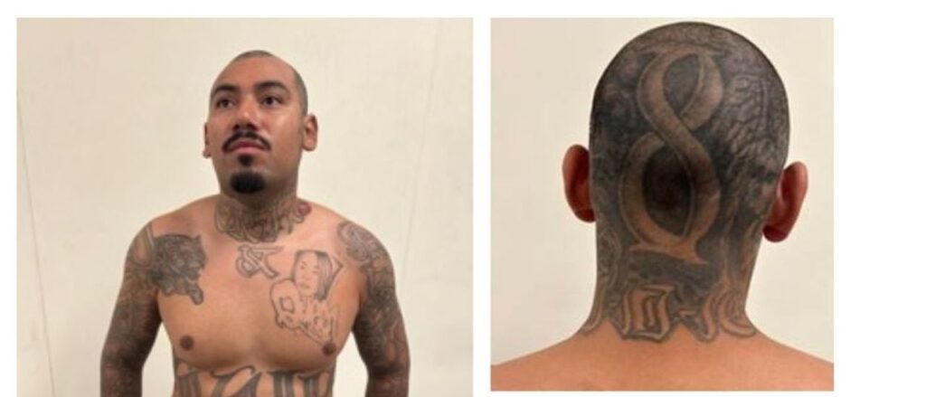 EXCLUSIVE: ICE Nabs Rapists, Child Predators, Gang Members In Deportation Blitz