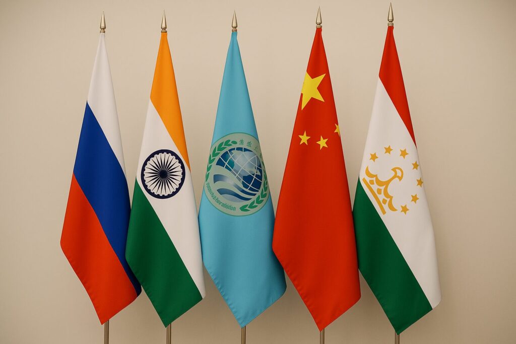 ‘No one bothers anyone’ within SCO – Putin envoy
