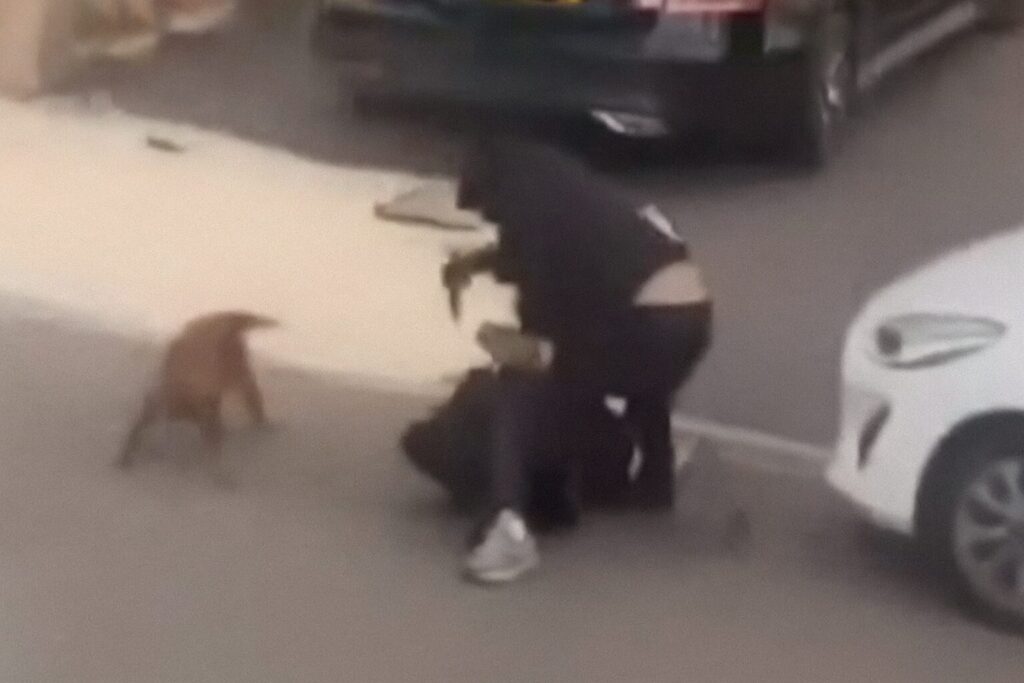 London Police Demand Citizens Stop Sharing Video of Afghan Migrant Stabbing Dog-Walking Man to Death