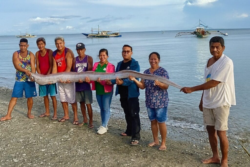 Somewhere, the simulation just rolled its eyes...