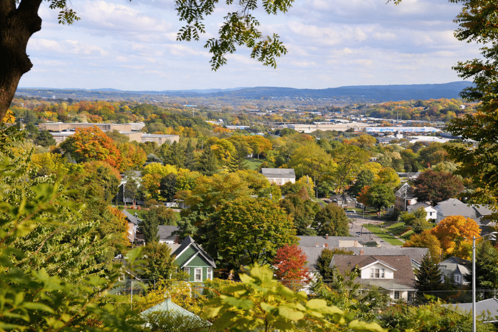 Elevated panoramic view of a leafy suburban town with houses, tree-lined streets, and distant hills, framed by branches in the foreground under a partly cloudy sky.